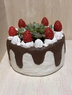 くう様専用とさせて頂きます。