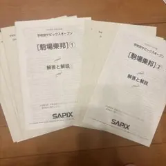 2026年最新】サピックスの人気アイテム - メルカリ