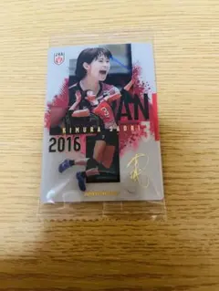 バレーボール女子日本代表ver.ツインウエハース 木村沙織