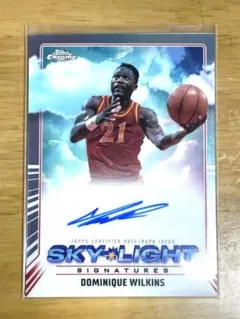 2026年最新】ドミニクウィルキンスの人気アイテム - メルカリ