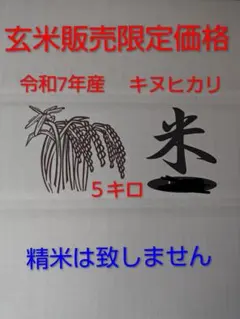 玄米販売限定 令和7年産 キヌヒカリ 5kg 精米無しのサムネイル