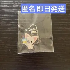 ALLIE × ちいかわ UVキーホルダー、ノーファンデUV - メルカリ