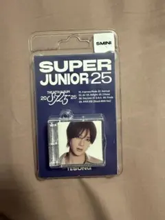 〈SUPER JUNIOR〉YESUNG イェソン　SMINI