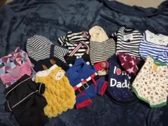 早い者勝ち！！犬服セット メインMサイズ①⑤写真＋おまけ付き
