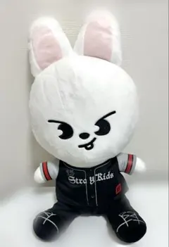 おもち ユメリープ 洗脳tokyo 赤い幽霊 守護霊 チェキ - メルカリ