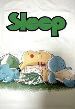 希少　ポケモン　Tシャツ　アニメ　ホワイト　Lサイズ　カビゴン　ポケモンスリープ