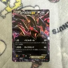2025年最新】イベルタルEXの人気アイテム - メルカリ