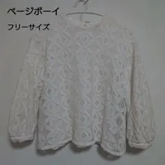 ★ページボーイ　七分丈レース編みブラウス　ホワイト　フリーサイズ