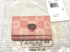 Item thumbnail for item a859df19-4da7-48a2-b69a-38ec4be81bd7