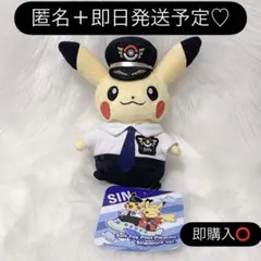 ポケモン 中国限定 Road Tripキャンプシリーズ ピカチュウぬいぐるみ