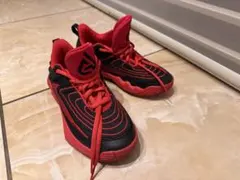 バッシュNike やニス21cm