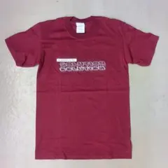 【美品】APC 企業ロゴ バックプリント Tシャツ ギルダン バーガンディ Sのサムネイル