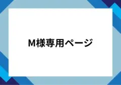M様専用商品　2冊セットで1000円