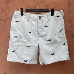 新品タグ付全盛期旗艦店限定HOLLISTER総柄シーガル　ショートパンツのサムネイル