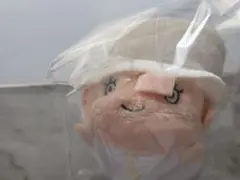 カク CP-0 むぎむぎおてだま ぬいぐるみ