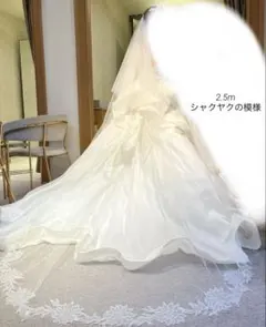 【ほぼ新品】トリートドレッシング ベール 2.5m TREAT Original