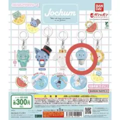JOCHUMめじるしアクセサリー マイクン
