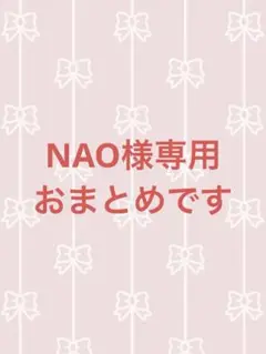 NAO様専用‼️他の方はご購入出来ません‼️