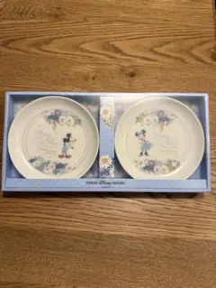 東京ディズニーリゾート 食器セット ミッキー ミニー