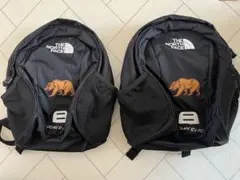 双子用！THE NORTH FACE リュックのサムネイル