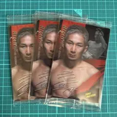 Item thumbnail for item f658bcaf-cb4a-4aa9-9b51-1320c2e532bb