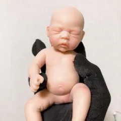 短期出品リボーンドール✰ダックリン 2026年最新】リボーンドールの人気アイテム - メルカリ