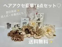 【送料無料・即日発送】お花・パール系髪飾り豪華14点セット✨成人式・卒業式・和装