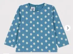 Item thumbnail for item 0a5da683-fc12-4662-8184-a518587610c8