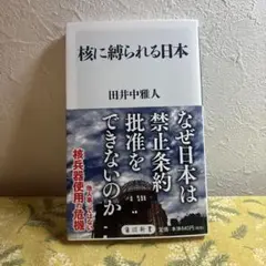 核に縛られる日本 田井中雅人著　角川新書