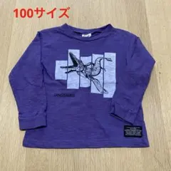 【最終お値下げ！】BREEZE パズルダイナソーTシャツ