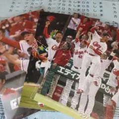 カープ　新井貴浩　ポストカード　3枚