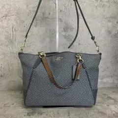 極美品✨️コーチ 2way ショルダーバッグ チェック柄 ナイロン レザー 青 紺