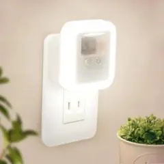 Item thumbnail for item c9b1e0ea-88a4-43b5-b04f-c02ccb868f5b