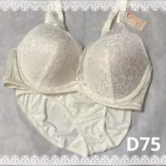 Item thumbnail for item 448a0e47-86b0-473c-a057-3a6c4950b627