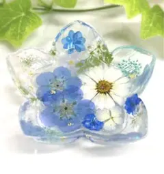 みんみん♡様 リクエスト 2点 まとめ商品