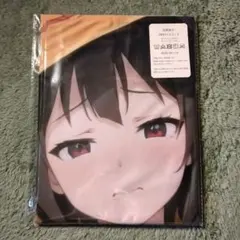 推しの抱き枕カバー　めぐみん