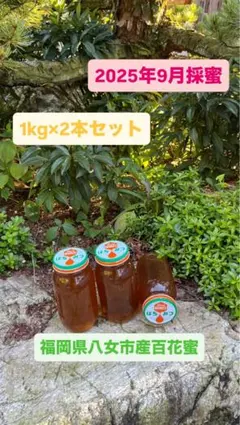 日本蜜蜂ハチミツ/百花蜜/1kg×2本のサムネイル