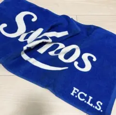 Item thumbnail for item b2f9fc33-ef1c-48d7-9d04-5f951e821996