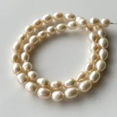 Item thumbnail for item 2703572b-2a1d-4eea-8c00-5718076aa7c2