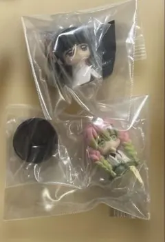 鬼滅の刃　すわらせ隊　甘露寺蜜璃　栗花落カナヲ