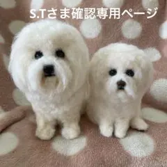 S.Tさまオーダーリクエスト専用ページ