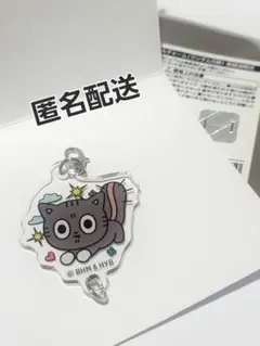 未使用プルバドゥタゴニャンつながるアクリルキーチャーム