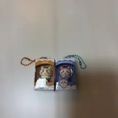 ちいかわ チョコボックス キーホルダー2個セット