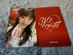 即購入⭕️ IVE empathy applemusic 4.0 トレカ レイ