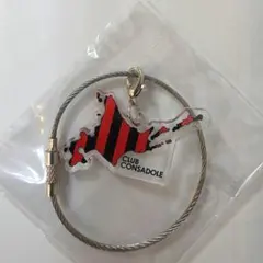 北海道コンサドーレ札幌 アクリルキーホルダー ワイヤーリング キーホルダー 新品