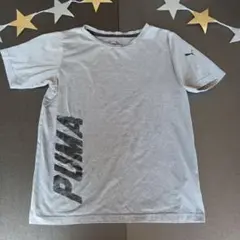 PUMA グレー Tシャツ 140