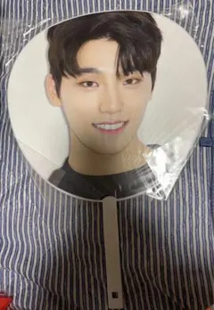 SEVENTEEN diamond edge ディノ　うちわ