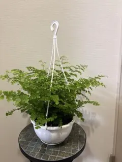 kokomo様 リクエスト 2点 まとめ商品