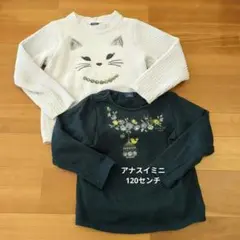 アナスイミニ　120