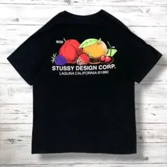 ステューシー STUSSY Tシャツ バックデカロゴ 黒 M 1902
